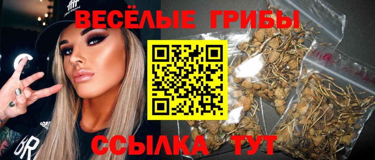 Псилоцибиновые грибы Magic Shrooms Оренбург
