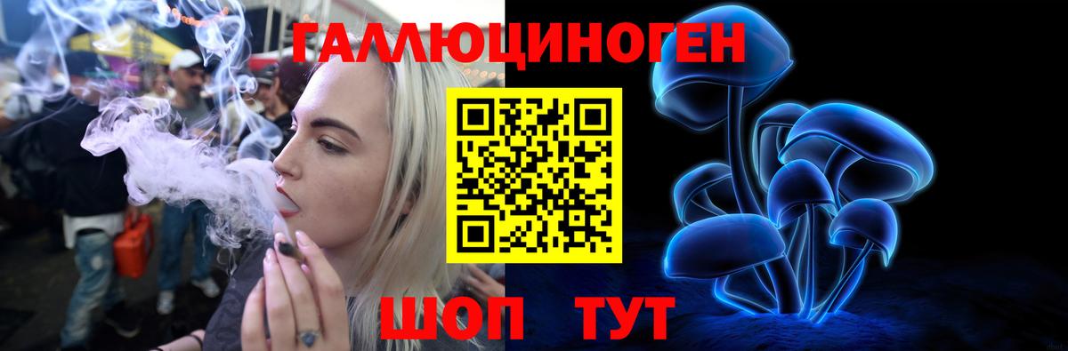 Псилоцибиновые грибы GOLDEN TEACHER  Вход с VPN  продажа наркотиков  Оренбург 